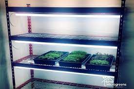 Led grow lights i made from 4' shop lights. What Are The Best Lights For Microgreens Home Microgreens Microgreens Lights Led Shop Lights