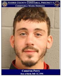 Mark Herman, Harris County Constable Precinct 4