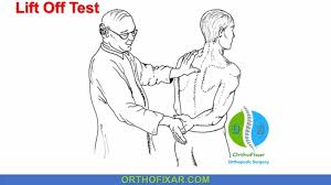 Image result for Lift-Off Subscapularis Test