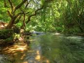 Image result for ÎÏÎ¿Ï ÏÎ¿ Î½ÎµÏÏ Î²ÏÎ¯ÏÎºÎµÎ¹ ÎºÎ¹ Î¬Î»Î»Î¿ Î½ÎµÏÏ ÎÎ³Î±ÏÏ ÏÎ± Î¼Î¹ÎºÏÎ¬ ÏÎ¿ÏÎ¬Î¼Î¹Î± ÎºÎ±Î¹ ÏÎ· Î¼Î¿ÏÏÎ¹ÎºÎ® ÏÎ¿ÏÏ. ÎÎ±Î¹ ÏÎ± ÏÏÎ¬ÎºÎ¹Î± ÏÎ¿Ï ÏÎ­Î¿ÏÎ½ ÏÎµ Î¾Î­ÏÏÏÎ± ÎºÎ±Î¹ ÏÎµ Î»Î¹Î²Î¬Î´Î¹Î±, ÏÏÎ¹Î½ Î²ÏÎ¿ÏÎ½ ÏÎ·Î½ ÎµÏÎºÎ±Î¹ÏÎ¯Î± Î½Î± Î³Î¯Î½Î¿ÏÎ½Îµ Î¼Î¹ÎºÏÎ¬ ÏÎ¿ÏÎ¬Î¼Î¹Î±. ÎÏÏÏ ÎºÎ±Î¹ Î½Î± ÏÎ Î±Î³Î±ÏÏ ÎºÏÏÎ¯ÏÏ Î³Î¹Î± ÏÎ· Î¼ÏÏÏÎ¹ÎºÏÏÎ·ÏÎ¬ ÏÎ¿ÏÏ. Î£ÏÎµÎ´ÏÎ½ Î¾ÎµÏÎ½Ï Î½Î± ÏÏ ÎºÎ¬ÏÎ¹ Î³Î¹Î± ÏÎ·Î½ ÏÎ·Î³Î®! Î¤Î¹ ÏÎ¹Î¿ ÏÎ¼Î¿ÏÏÎ¿ Î±ÏÏ Î¼Î¹Î± ÏÎ·Î³Î®; ÎÎ± ÎºÎ±Î¹ ÏÎ± Î¼ÎµÎ³Î¬Î»Î± ÏÎ­Î¼Î±ÏÎ± ÏÎ±ÎÏÏ ÏÏÎ·Î½ ÎºÎ±ÏÎ´Î¹Î¬ Î¼Î¿Ï. ÎÎ±Î¹ ÏÎ¿ÏÏ ÏÏÏÎ¿ÏÏ ÎµÏÎ¯ÏÎ·Ï ÏÏÎ¿Ï ÏÎ± ÏÎ­Î¼Î±ÏÎ± ÏÏÎ½Î¿Î½ÏÎ±Î¹ ÏÏÎ¿ÏÏ ÏÎ¿ÏÎ±Î¼Î¿ÏÏ. Î¤Î± Î¿ÏÎ¸Î¬Î½Î¿Î¹ÏÏÎ± ÏÏÏÎ¼Î±ÏÎ± ÏÏÎ½ ÏÎ¿ÏÎ±Î¼ÏÎ½ ÏÏÎ¿ ÏÎ·Î¼ÎµÎ¯Î¿ ÏÎ¿Ï ÏÏÎ¬Î½Î¿ÏÎ½Îµ ÏÏÎ· Î¸Î¬Î»Î±ÏÏÎ±. Î¤Î¿ÏÏ ÏÏÏÎ¿ÏÏ ÏÏÎ¿Ï ÏÎ¿ Î½ÎµÏÏ Î²ÏÎ¯ÏÎºÎµÎ¹ ÎºÎ¹ Î¬Î»Î»Î¿ Î½ÎµÏÏ. ÎÏÏÎ¿Î¯ Î¿Î¹ ÏÏÏÎ¿Î¹ ÏÏÎ¿ Î¼ÏÎ±Î»Ï ÏÎ±Î¯Î½Î¿Î½ÏÎ±Î¹ ÏÎ±Î½ Î¬Î³Î¹Î¿Î¹ ÏÏÏÎ¿Î¹. ÎÏÎ¿ÏÏÎ± ÏÎ¼ÏÏ ÏÎ± ÏÎ¿ÏÎ¬Î¼Î¹Î± ÏÏÎ½ Î±ÎºÏÏÎ½! Î¤Î± Î±Î³Î±ÏÏ Î­ÏÏÎ¹ ÏÏÏÏ ÎºÎ¬ÏÎ¿Î¹Î¿Î¹ Î¬Î»Î»Î¿Î¹ Î±Î³Î±ÏÎ¿ÏÎ½Îµ Î¬Î»Î¿Î³Î± Î® ÏÎ±Î½Î­Î¼Î¿ÏÏÎµÏ Î³ÏÎ½Î±Î¯ÎºÎµÏ. ÎÎ³Ï ÏÎ±Î¸Î±Î¯Î½Ï ÎºÎ¬ÏÎ¹ Î¼ÎÎ±ÏÏÏ ÏÎ¿ ÎºÏÏÎ¿, ÏÎ¿ Î²Î¹Î±ÏÏÎ¹ÎºÏ Î½ÎµÏÏ. ÎÎ±Î¹ Î¼ÏÎ½Î¿ ÏÎ¿Ï ÏÎ¿ ÎºÎ¿Î¹ÏÎ¬Î¶Ï, ÏÎ¿ Î±Î¯Î¼Î± Î¼Î¿Ï ÏÎ­ÎµÎ¹ ÏÎ¹Î¿ Î­Î½ÏÎ¿Î½Î± Î¤Î¿ Î´Î­ÏÎ¼Î± Î¼Î¿Ï Î±Î½Î±ÏÏÎ¹ÏÎ¹Î¬Î¶ÎµÎ¹. ÎÎ± Î¼ÏÎ¿ÏÎ¿ÏÏÎ± Î½Î± Î¼Î­Î½Ï Î­ÏÏÎ¹ Î½Î± ÎºÎ¿Î¹ÏÎ¬Î¶Ï ÏÎ¿ÏÏÎ± ÏÎ± ÏÎ¿ÏÎ¬Î¼Î¹Î± Î¼Îµ ÏÎ¹Ï ÏÏÎµÏ. ÎÎ±Î½Î­Î½Î± ÏÎ¼Î¿Î¹Î¿ Î¼Îµ ÏÎÎ¬Î»Î»Î±. Î£Î®Î¼ÎµÏÎ± ÎµÎ¯Î¼Î±Î¹ 45 ÏÏÎ¿Î½Ï. Î Î¿Î¹ÏÏ Î¸Î± ÏÎ¯ÏÏÎµÏÎµ Î±Î½ Î­Î»ÎµÎ³Î± Î ÏÏ ÏÏÎ®ÏÎ¾Î± ÎºÎ¬ÏÎ¿ÏÎµ 35; ÎÎ´ÎµÎ¹Î± Î· ÎºÎ±ÏÎ´Î¹Î¬ Î¼Î¿Ï ÎºÎ±Î¹ ÏÏÎµÎ³Î½Î® ÏÏÎ± 35! Î Î­Î½ÏÎµ ÏÏÏÎ½Î¹Î± Î±ÎºÏÎ¼Î± Î­ÏÏÎµÏÎµ Î½Î± ÎºÏÎ»Î®ÏÎ¿ÏÎ½ Î ÏÎ¿ÏÎ¿Ï Î½ÎÎ±ÏÏÎ¯ÏÎµÎ¹ Î½ Î±Î½Î±Î²Î»ÏÎ¶ÎµÎ¹ ÏÎ¬Î»Î¹. ÎÎ± ÏÎ¬ÏÏ ÏÏÎ¿ ÏÏÏÎ½Î¿ Î¼ÎÎ±ÏÎ­ÏÎµÎ¹ ÏÎ®Î¼ÎµÏÎ± ÏÎÎ±ÏÏÎ³ÎµÏÎ¼Î± Î ÏÎ¿ÏÎ¿Ï Î½Î± ÎµÎ³ÎºÎ±ÏÎ±Î»ÎµÎ¯ÏÏ ÏÎ¿ ÏÏÏÏÎ¿ Î¼Î¿Ï ÏÎ»Î¬Î¹ ÏÎÎ±ÏÏÏ ÏÎ¿ ÏÎ¿ÏÎ¬Î¼Î¹. ÎÎ ÎµÏÏÎ±ÏÎ¹ÏÏÎµÎ¯ ÏÎ¿Î»Ï Î½ÎÎ±Î³Î±ÏÏ ÏÎ± ÏÎ¿ÏÎ¬Î¼Î¹Î±. ÎÎ± Ï Î±Î³Î±ÏÏ Î¯ÏÎ±Î¼Îµ ÏÎ¯ÏÏ ÎÏÎ±Î¼Îµ ÏÎ¹Ï ÏÎ·Î³Î­Ï ÏÎ¿ÏÏ. ÎÎ± Î±Î³Î±ÏÏ Ï,ÏÎ¹ Î¼Îµ Î¼ÎµÎ³Î±Î»ÏÎ½ÎµÎ¹