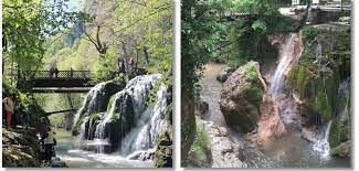 Anuntul a fost facut de catre romsilva. Vdrmwir8mx2mym