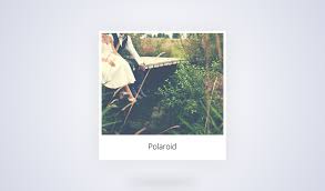 Polariod With Image Zoom On Hover Coords Managed With Jquery And Injected Via Transform Origin Currently Calculating The Dimensions Semi R Image Jquery Hover