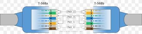 (1) the straight cable and (2) the crossover cable. Category 5 Cable Tia Eia 568 Wiring Diagram Patch Cable Category 6 Cable Png 2027x496px Category