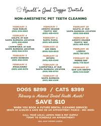 Happy, happy birthday to the founder ~ Mike Lemos! 🎉💚