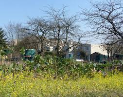 Nature En Ville A Cergy Pontoise De La Sciure Pour Le Jardin