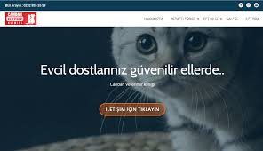 Https Veterinertorbali Com Torbali Veteriner Ayrancilar Veteriner Bayindir Veteriner Veterinerler Gercekler Iletisim