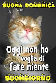 Le immagini più belle e simpatiche da inviare su whatsapp e facebook. Immagini Carine E Divertenti Per Gli Auguri Di Una Buona Domenica Whatsapp Facebook Instagram