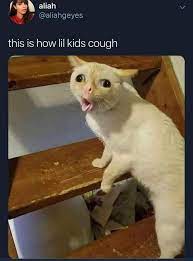This Is How Lil Kids Cough Funny Animal Memes Kids Cough Funny Animals