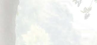 ALCORN STATE UNIVERSITY FOUNDATION REPORT 2011