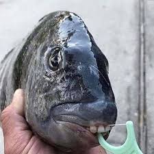 You can resize your pictures and images without changing their quality. 28 Images That Are Disturbing Yes But Also Oddly Hilarious