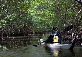 Information map attractions activities entrance tickets hotels articles. Oleta River State Park Florida State Parks