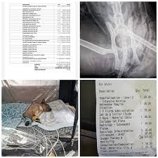 Sonography or ultrasound uses high frequency sound waves to generate real time images of various organs of the body. Auckland Pet Owner Faces Devastating 30 000 Vet Bill To Save Cat Attacked By Dog Nz Herald