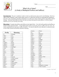 A Study Of Biological Prefixes And Suffixes