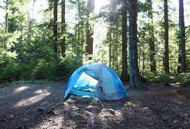 The 5 Best Car Camping Spots Near Whistler Bc Mountaincampingspots Camping Spots Best Places To Camp Yellowstone Camping