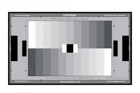 Dsc Labs 11 Steps Grayscale Junior Camalign Chip Chart