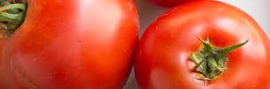 Beefsteaks are typically wide tomatoes, but the more round types have a sweeter flavor. Beefsteak Tomato Seeds Johnny S Selected Seeds