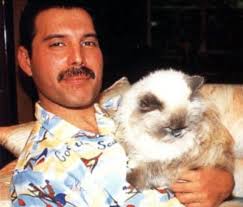 Currently listening to Time Machine again, and marveling at Damien Edwards  vocals. Every time I listen to him sing, I'm just in awe of his power and  range. Freddie Mercury aside (he