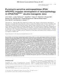 The good shepherd (2006) cast and crew credits, including actors, actresses, directors, writers and more. Pdf Puromycin Sensitive Aminopeptidase Psa Npepps Impedes Development Of Neuropathology In Hpsa Tau P301l Double Transgenic Mice