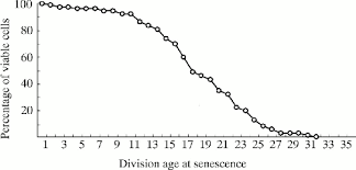 A tévében, rádióban és az interneten is. Replicative Ageing And Senescence In Saccharomyces Cerevisiae And The Impact On Brewing Fermentations Microbiology Society