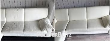 Sofa reiniger dm der einfachste weg von getting das haus suchen neue wäre verbesserung die möbel mit jedem ahreszeit. Helle Familiencouch Gereinigt Polsterreinigung Schnell Zuverlassig