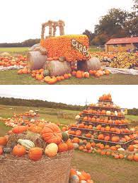 140 Pumpkin Squash And Gourd Types And Where To Buy Seeds Gourd Types Pumpkin Pumpkin Varieties