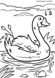 More 100 coloring pages from animal coloring pages category. Coloring Page Swan Birds Free Coloring Pages