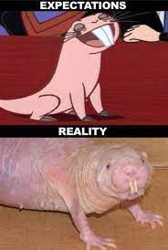 تويتر Dr Jenny Ph D على تويتر Talia Shirazi Let Me Know When You Find Out