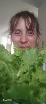 Growing lettuce in London, Ontario, Canada