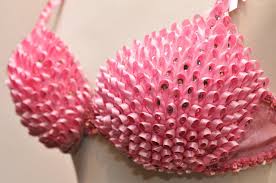 Pin On Bras