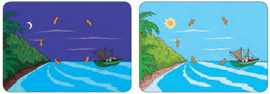 Bentuknya bagus, meliuk seperti penari. Perpindahan Panas Atau Kalor Secara Konveksi Kelas 5 Tema 6 Subtema 2 Pembelajaran 6 Imron Web Id