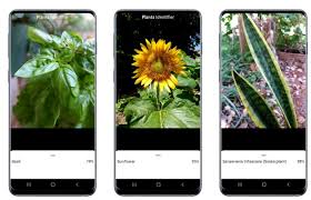 Picturethis is capable of identifying 10,000+ plant species with accuracy of 98%, better than most plantsnap is free to download and try. 9 Best Plant Identification Apps For Android And Ios 2021 Regendus