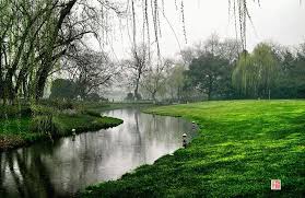 柳浪闻莺公园 醉柳 狮柳 浣纱柳 等 有柳洲并非空穴来风 柳浪闻莺公园 地处西湖东南隅湖岸 占地约二十一公顷 她的前身 是南宋御花园聚景园 其范围南起杭州旧城清波门外 北至涌金门下 东倚城垣 西临西湖水面 而且还包括了接近湖岸的若干洲渚如柳洲 水心寺