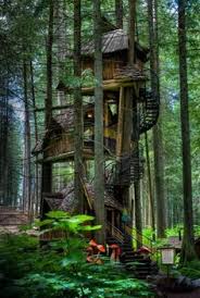 2,416 likes · 34 talking about this · 74 were here. 38 Wald Und Wiese Ideen Wald Wiese Natur