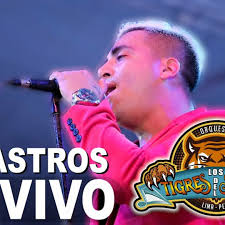 Listen to Los tigres del sabor