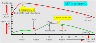 We would like to show you a description here but the site won't allow us. Alpha Fetoprotein Maternal Afp A1 Fetoprotein And Its Significance Labpedia Net