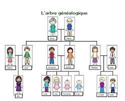 Check spelling or type a new query. Family Tree Diagram French Diagram Quizlet