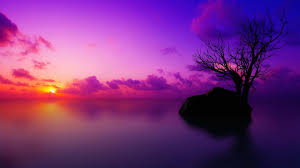 Maybe you would like to learn more about one of these? 22 Purple Sunset Wallpapers Wallpaperboat