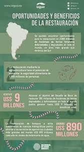 | en esa conferencia de 1972, se aprobó el programa de las naciones unidas para el medio ambiente (pnuma). E Onngcas2g8lm
