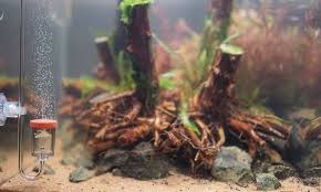 Find deals on products in outdoor decor on amazon. How To Make Aquarium Decorations Safe In Easy Steps Guides