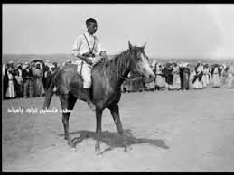 صور نادره لسباق الخيل في النقب عدد على الخيل موسى حافظ palestine horses animals