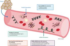 Alex early detection of cancer can greatly improve the odds of successful treatment and survival. Transforming The Landscape Of Early Cancer Detection Using Blood Tests Commentary On Current Methodologies And Future Prospects British Journal Of Cancer