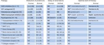 We did not find results for: Treatment Of Alport Syndrome Beyond Animal Models Kidney International