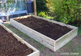 We did not find results for: Simple Tips For How To Make A Raised Garden Bed Lovely Greens