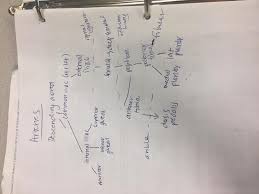 Print Gsu Blood Vessels Of The Lower Limb Flashcards Easy