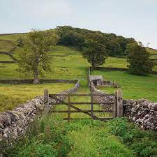 The Road Not Taken English Countryside Countryside Scenery