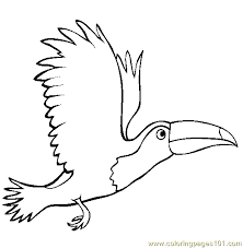 Make a coloring book with toucan tocan for one click. Flying Toucan Coloring Page For Kids Free Toucan Printable Coloring Pages Online For Kids Coloringpages101 Com Coloring Pages For Kids