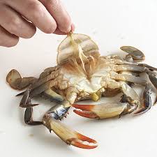 Every one carrying a shell made out of either tiny rocks, or a piece of a twig. How To Prepare Soft Shell Crabs How To Finecooking