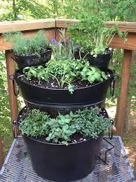 Tiered Herb Garden I Saw This Idea On Pinterest And Had To Do It Myself I Can T Wait To See Wh Diy Self Watering Planter Vegetable Garden Tips Fruit Plants