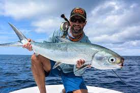 Milkfish (chanos chanos) is the only species in the family chanidae.its distribution is restricted to either low latitude tropics or the subtropical northern hemisphere along continental shelves and around islands, where temperatures are greater than 20 °c (red sea and south africa to hawaii and the marquesas, north to japan and south to victoria, australia; Interesting Facts About Milkfish Chanos Chanos Bangus
