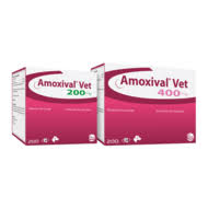 In case of anaphylaxis, administer epinephrine and/or. Amoxival Vet 200mg Und 400mg Produkte Fur Heimtiere Produkte Ceva Germany